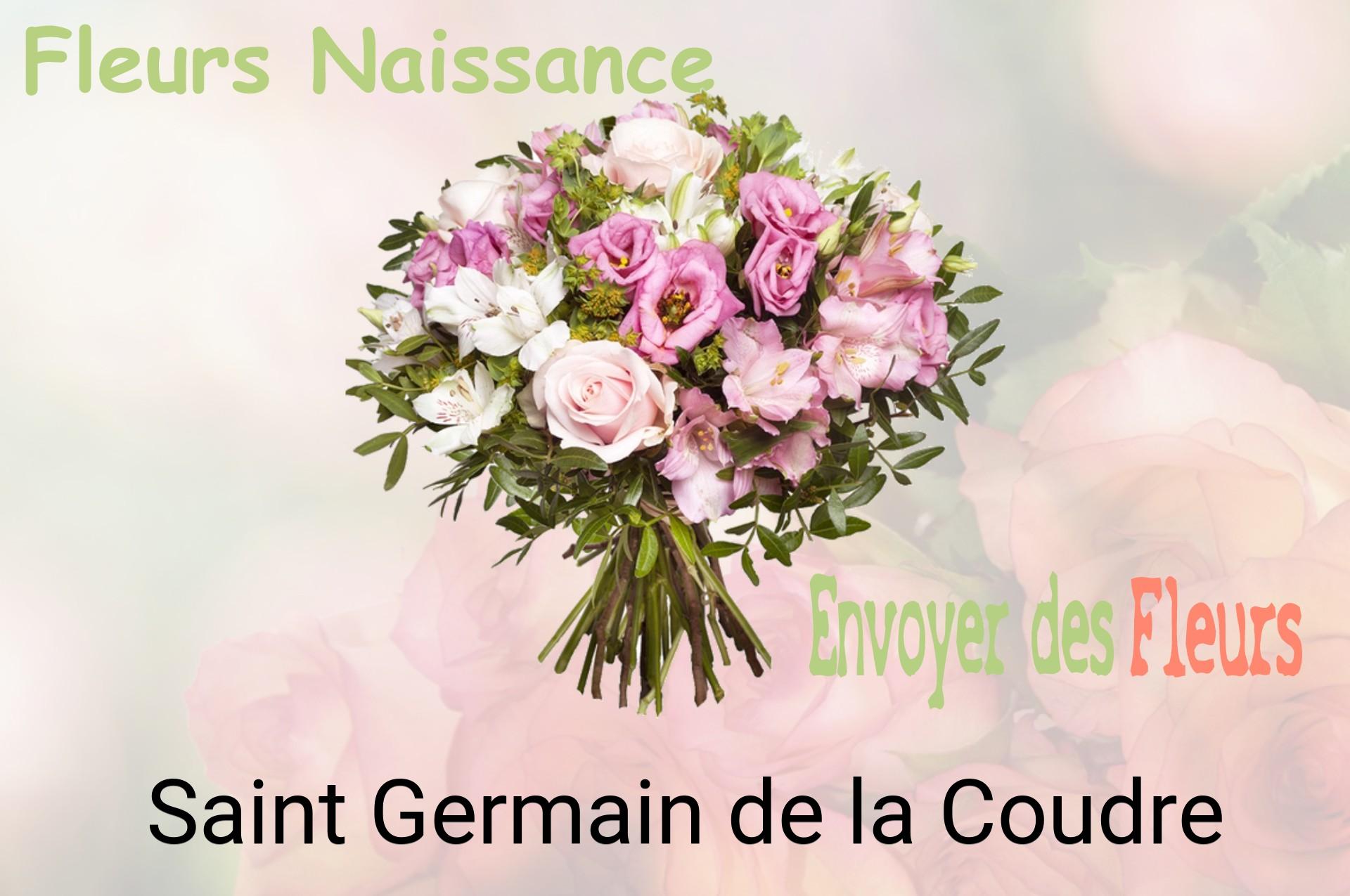 Bouquet de fleurs de naissance livré à Saint-Germain-de-la-Coudre